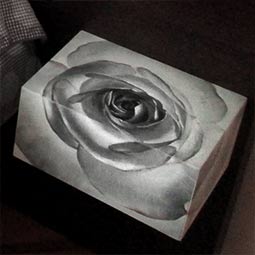 Comodini decorati con rosa monocroma